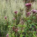 등골농장 이미지