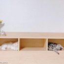 그루밍 스튜디오 이미지