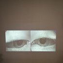 케이비농장 이미지