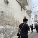 내가 좋아하는 와인을 찾아라 | 이탈리아 풀리아 여행 – 모노폴리 근교 숙소 후기 &amp; 현지 식당,마트 탐방기