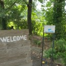 카페 슬루프(cafe sloop) 이미지