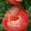 문화동019 이미지