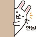 정원배꼽시계 네이버블로그