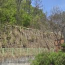 당동중학교 이미지