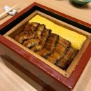 후지 | 후쿠오카 텐진 맛집 후지우나, 세이로무시 장어덮밥 후기