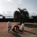 서귀포KAL호텔 이미지