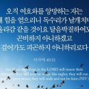 오늘의 &#39;영어성경 사진&#39;(502강) “여호와를 희망하는 이들”(이사야 40장 31절) 이미지