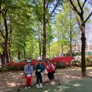 아름답고/숲속에 둘려쌓인 잠실종합운동장 파크골프장 5월 10일(토)및 5월24일(토) 라운딩공지 ~ 이미지