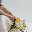 드마레웨딩스튜디오 실내 야외 촬영 후기