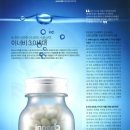 아쿠아인뷰티
