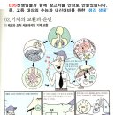 서울용마초등학교 네이버블로그