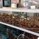 돌섬횟집 이미지