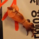 세븐일레븐 대전용문스타점 | 맛있는집 🦑 괴정동 술집 용문동 술집 대전롯데백화점맛집 용문역맛집 술집 안주맛집 오징어숙회 동죽탕...