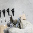 타이어이글스오송점