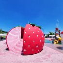 농촌테마공원1 | 논산 딸기향농촌테마공원 물놀이터 후기 아이와 무료 여름 물놀이장