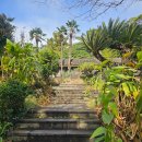 별장 | 제주도 카페 중문별장 커마카세 후기