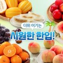 법인초록식품