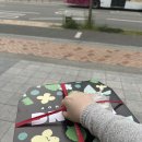 뽕뜨락 | 세종 종촌동 피자 맛집 [뽕뜨락피자 종촌점] 포장후기