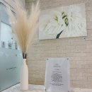 리썸바디 필라니스 이미지