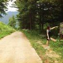 소백산자락길 제5코스 이미지