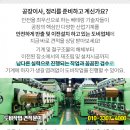 군산드림약국 네이버블로그