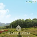 보림다원