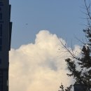 아이센스 블랙라벨 PC존 수원인계점 이미지