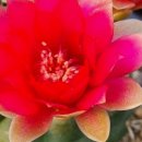 문현농장 이미지