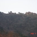 동산스포츠 이미지