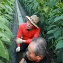 종대농장 이미지