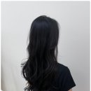 성실헤어 - 수원시 장안구 이목로 24 | 성실헤어