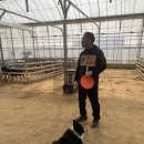 원반농장 이미지