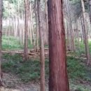 이정기농장 이미지