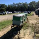 다인당구클럽 이미지