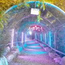 국립유명산자연휴양림 이미지