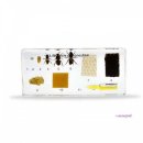 아리랑과학 이미지