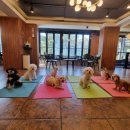 잘해줄개 이미지