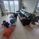 7월 30일(목) 두딸과 3명의 손자와 어제와 오늘 보낸 일상 이미지
