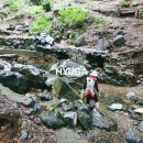 대신공원로 이미지