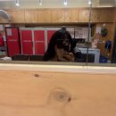 엣지잇개 | 260112_내가 이러는 동안에도 물가는 올라가고 집값은 상승한다