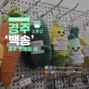 제가 뜨개질은 처음인데요 | 경주 황리단길 여행지 소품샵 데이트장소 대릉원 근처 뜨개질 성지 백송