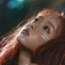 숲의 아이 이미지