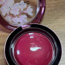 MAC 맥 글로우 플레이 쿠션 블러쉬 HD체리트리 내돈내산 후기 / 여쿨 겨쿨 블러셔 / 과즙 메이크업 레드...