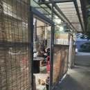 강변숯불화로구이 | [영주 강변숯불화로구이] 영주 맛집 / 영주 삼겹살 맛집 / 영주 꼬들살 맛집 / 영주 순대 맛집 / 영주...