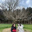 민기목장 이미지