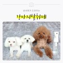 펫 노리터 이미지