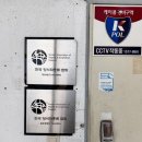 덕표내 | 일산파충류샵 덕표내 크레 입양후기