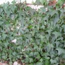 산고운펜션 이미지