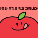 55베이킹스튜디오