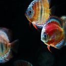 feeding 이미지